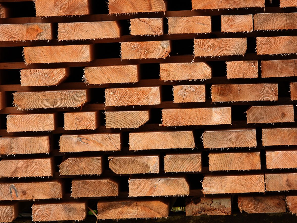 Cherestea în lumină naturală