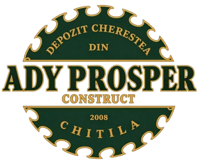 Ady Prosper Construct — Chitila